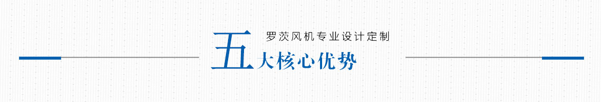 羅茨風(fēng)機(jī)專業(yè)設(shè)計(jì)定制，五大核心優(yōu)勢(shì)